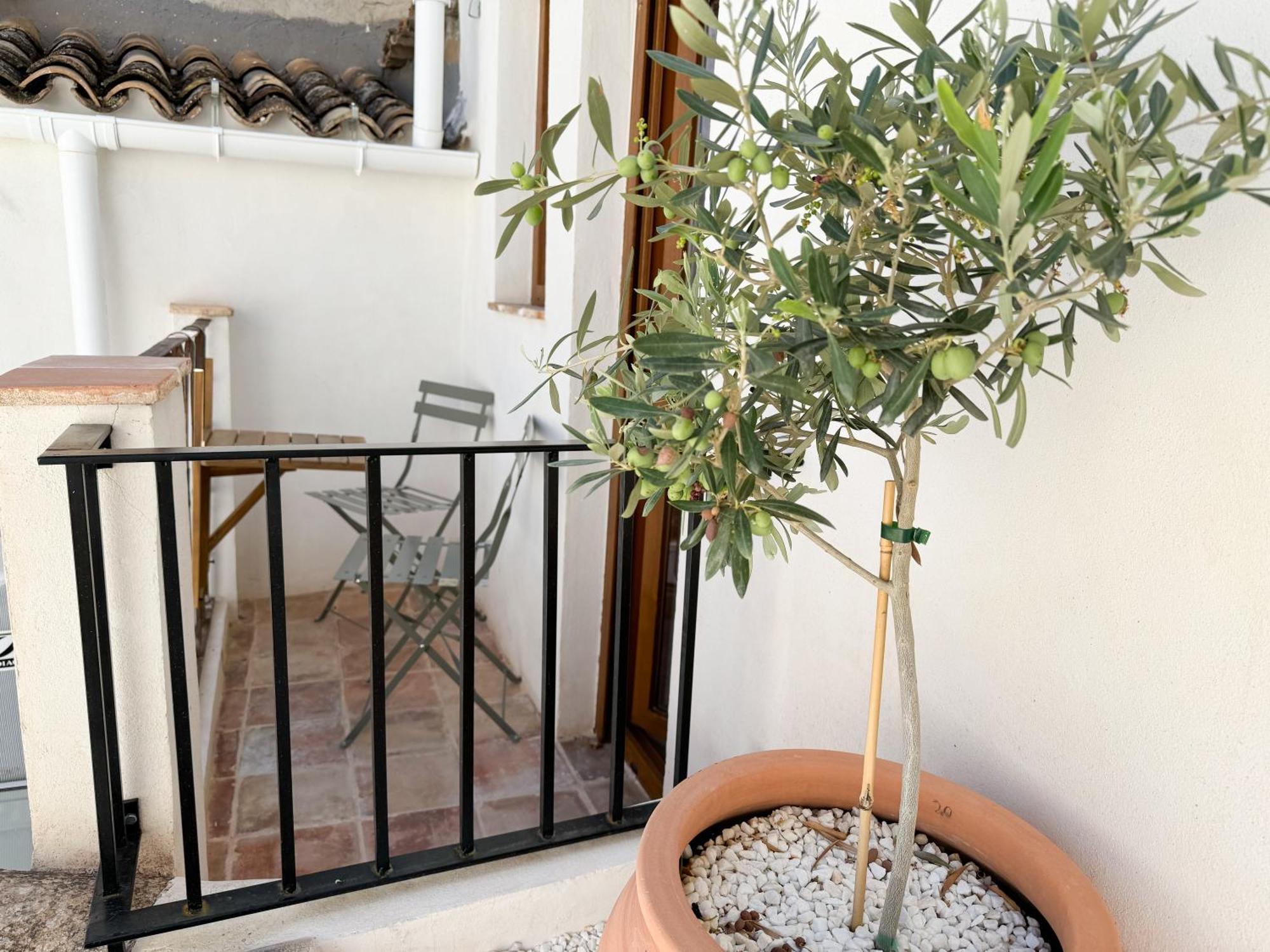 Apartment Casa Oliveta - Boutique