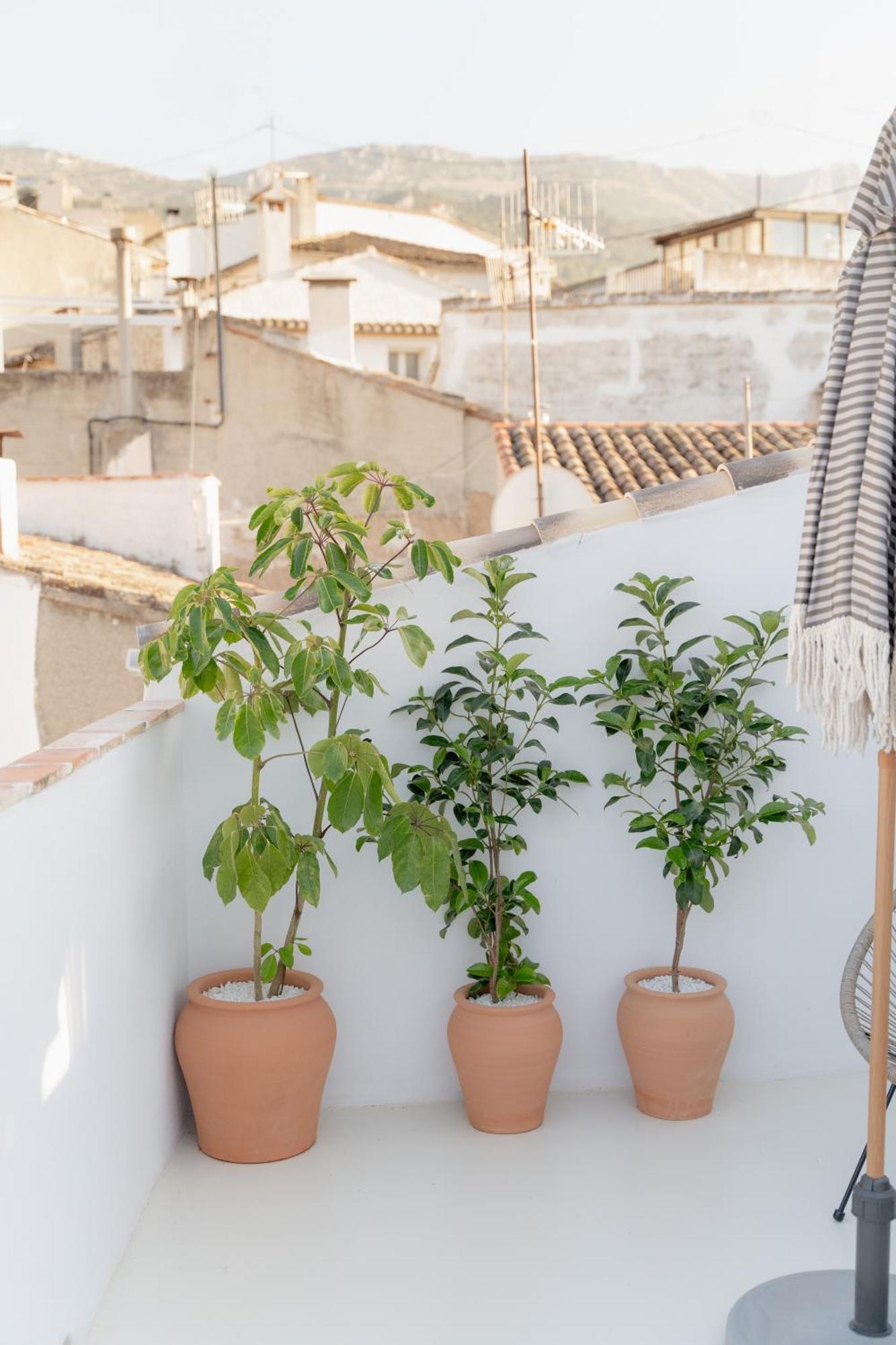 Apartment Casa Oliveta - Boutique